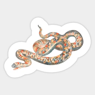 serpent,cobra,reptile,viper,venom,lizard,rattlesnake,king cobra,dragon,hydra,poison,venomous,plumber's snake,pythonidae,pythons,auger,python,squamata,serpentine,worm,big,ophidian,rattlesnakes,medusa,snakebite Sticker